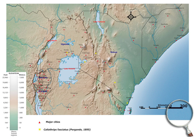 Distibution Map East Africa